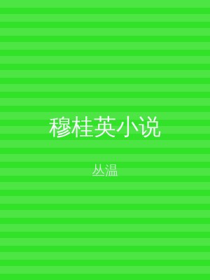 穆桂英小说