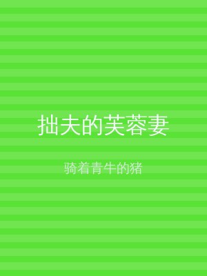 拙夫的芙蓉妻