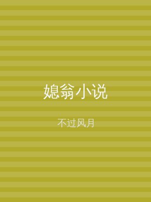 媳翁小说