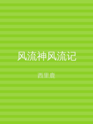风流神风流记
