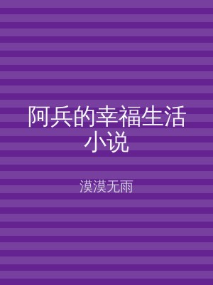 阿兵的幸福生活小说
