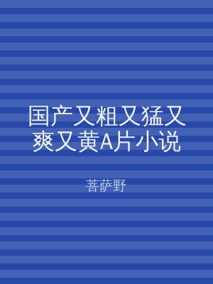 国产又粗又猛又爽又黄A片小说