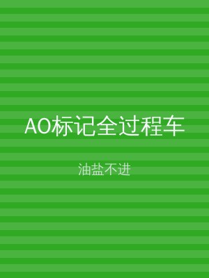 AO标记全过程车