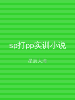 sp打pp实训小说