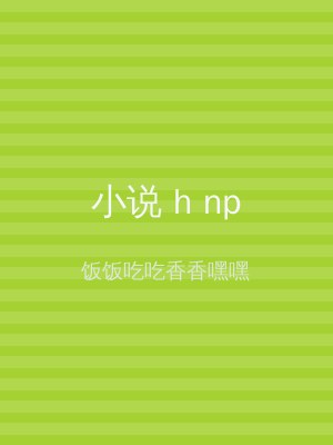 小说 h np