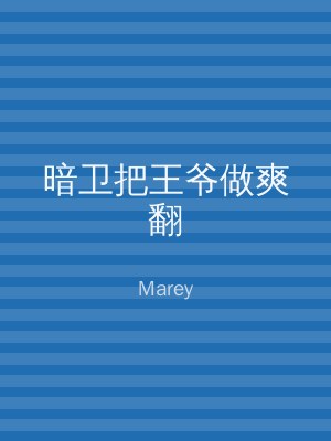 暗卫把王爷做爽翻