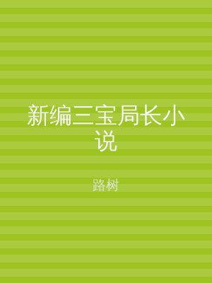 新编三宝局长小说