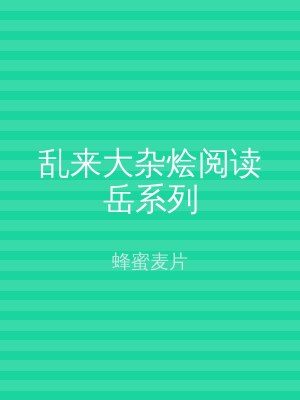 乱来大杂烩阅读岳系列