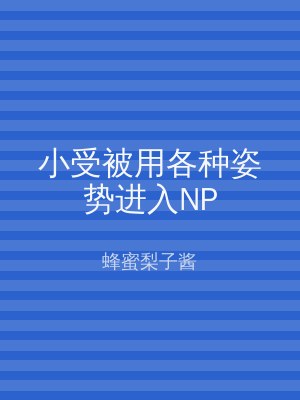 小受被用各种姿势进入NP