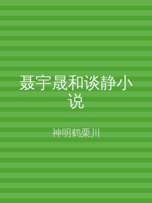 聂宇晟和谈静小说