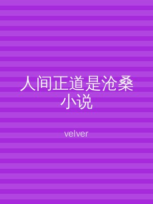 人间正道是沧桑小说