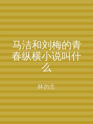 马洁和刘梅的青春纵横小说叫什么