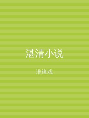 湛清小说