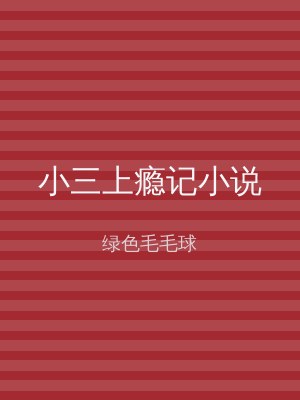 小三上瘾记小说