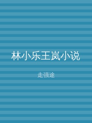 林小乐王岚小说
