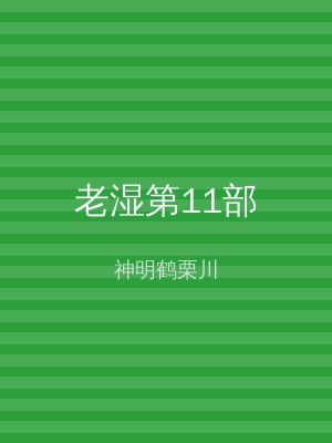 老湿第11部
