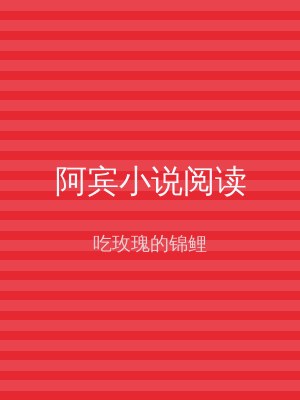 阿宾小说阅读