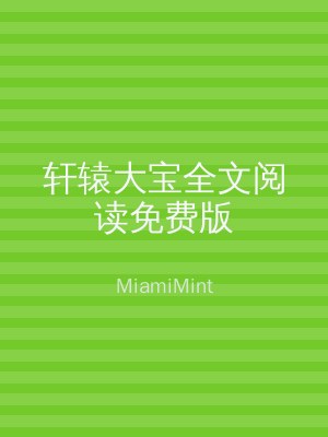 轩辕大宝全文阅读免费版