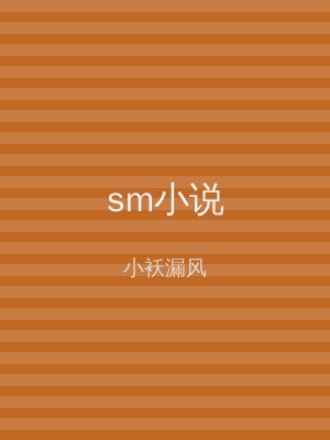 sm小说
