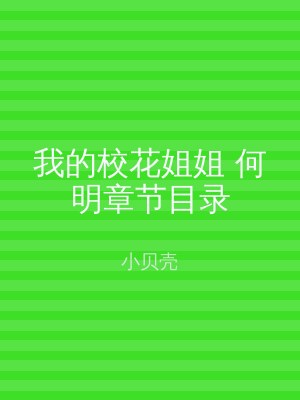 我的校花姐姐 何明章节目录