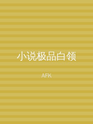 小说极品白领