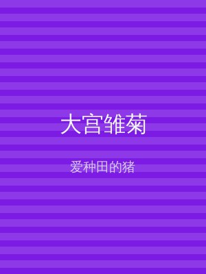 大宫雏菊