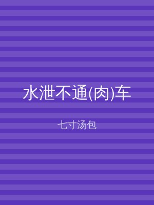 水泄不通(肉)车