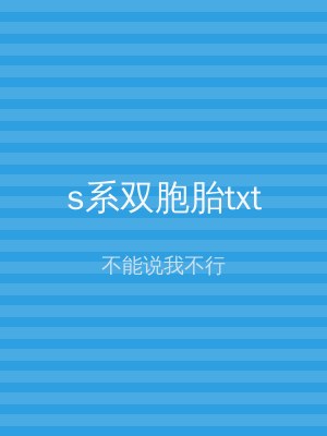 s系双胞胎txt
