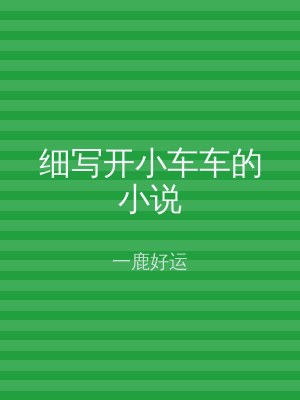 细写开小车车的小说
