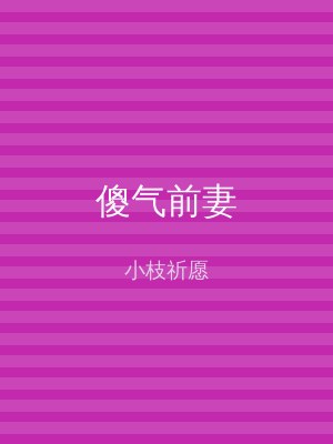 傻气前妻