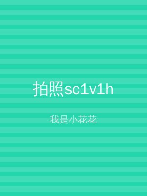 拍照sc1v1h