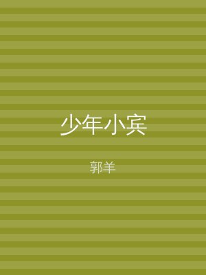 少年小宾