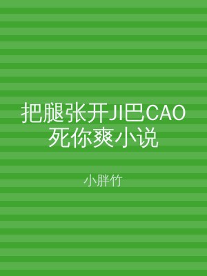 把腿张开JI巴CAO死你爽小说
