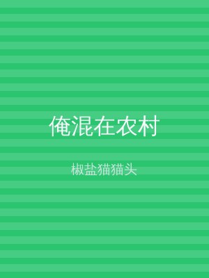 俺混在农村