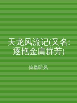 天龙风流记(又名:逐艳金庸群芳)