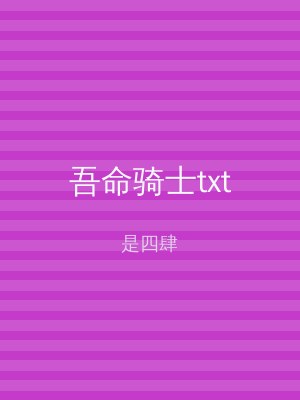 吾命骑士txt
