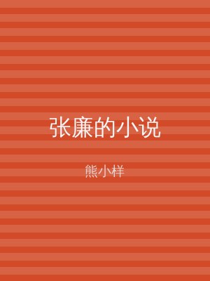 张廉的小说