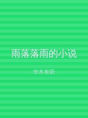 雨落落雨的小说