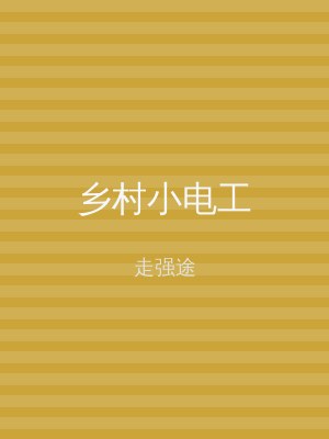 乡村小电工