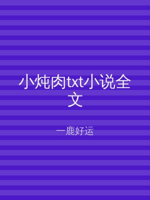 小炖肉txt小说全文