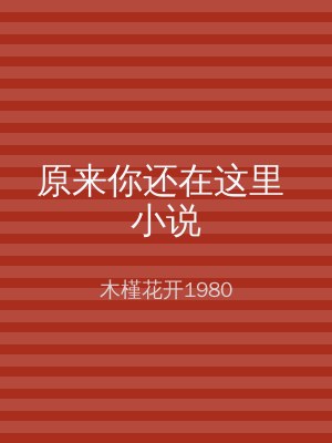 原来你还在这里 小说
