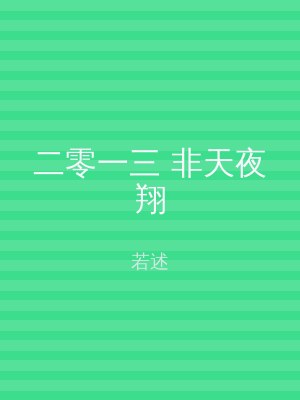 二零一三 非天夜翔