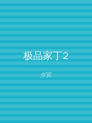 极品家丁2