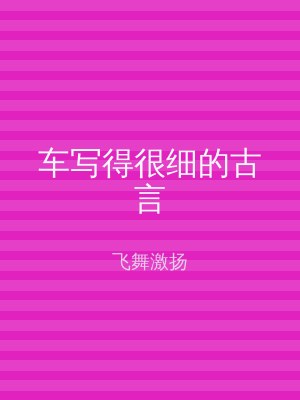 车写得很细的古言