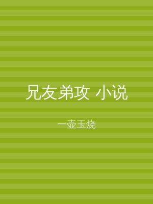 兄友弟攻 小说