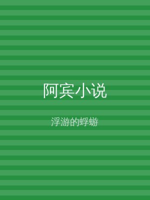 阿宾小说