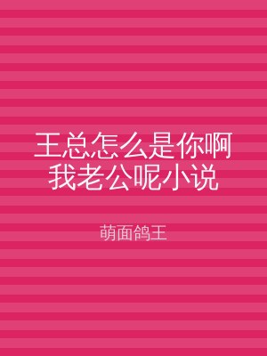王总怎么是你啊我老公呢小说