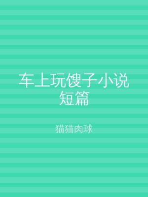 车上玩馊子小说短篇