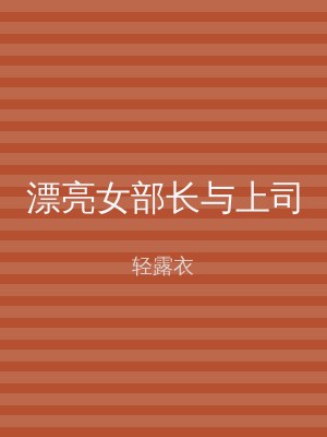 漂亮女部长与上司