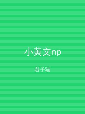 小黄文np